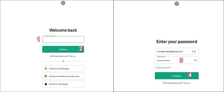 Bạn hãy tiến hành nhập email và mật khẩu