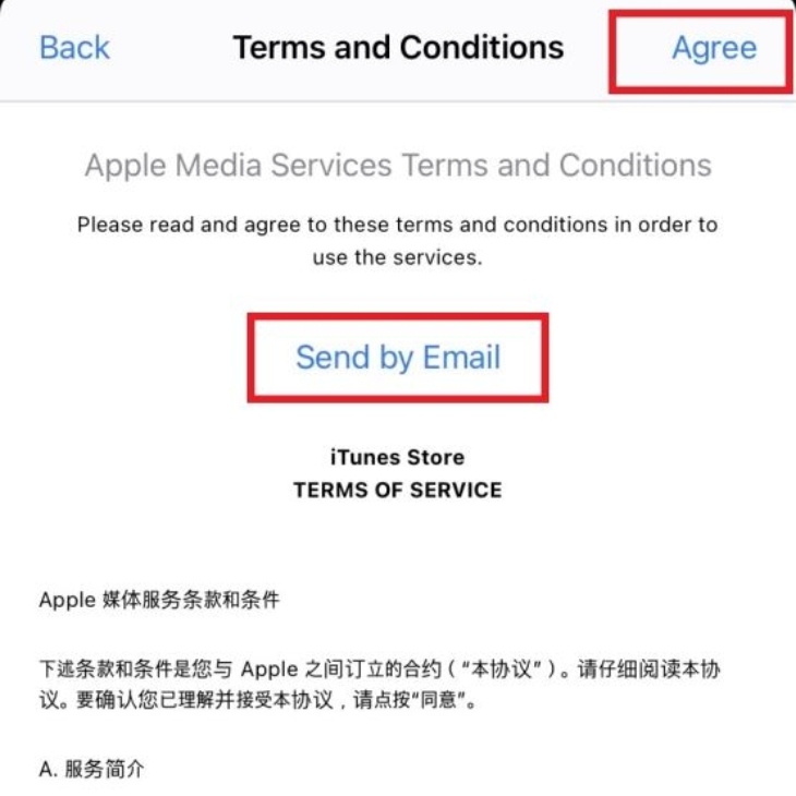 Chọn Send by Email và điền mail bạn đã đăng ký ID Apple vào