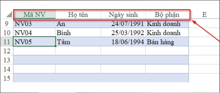 Tiêu đề bảng tính sẽ xuất hiện trên thanh tiêu đề