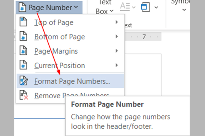 Bạn chọn Insert tại thanh công cụ > Chọn Page Number > Chọn Format Page Numbers.